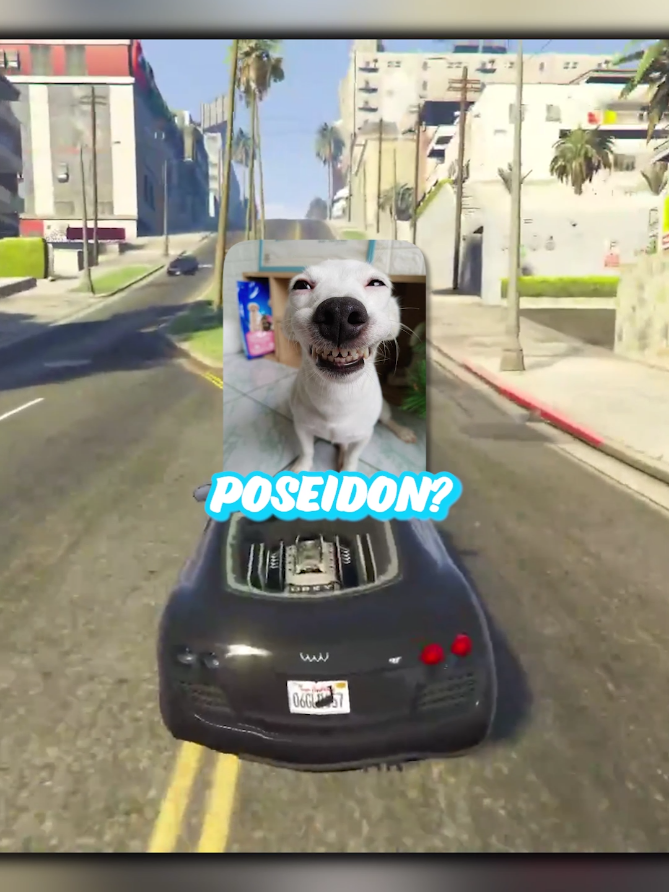 Le faltan horas a Poseidon y a Karchez #marbella #poseidon #karchez #españa #gta5 
