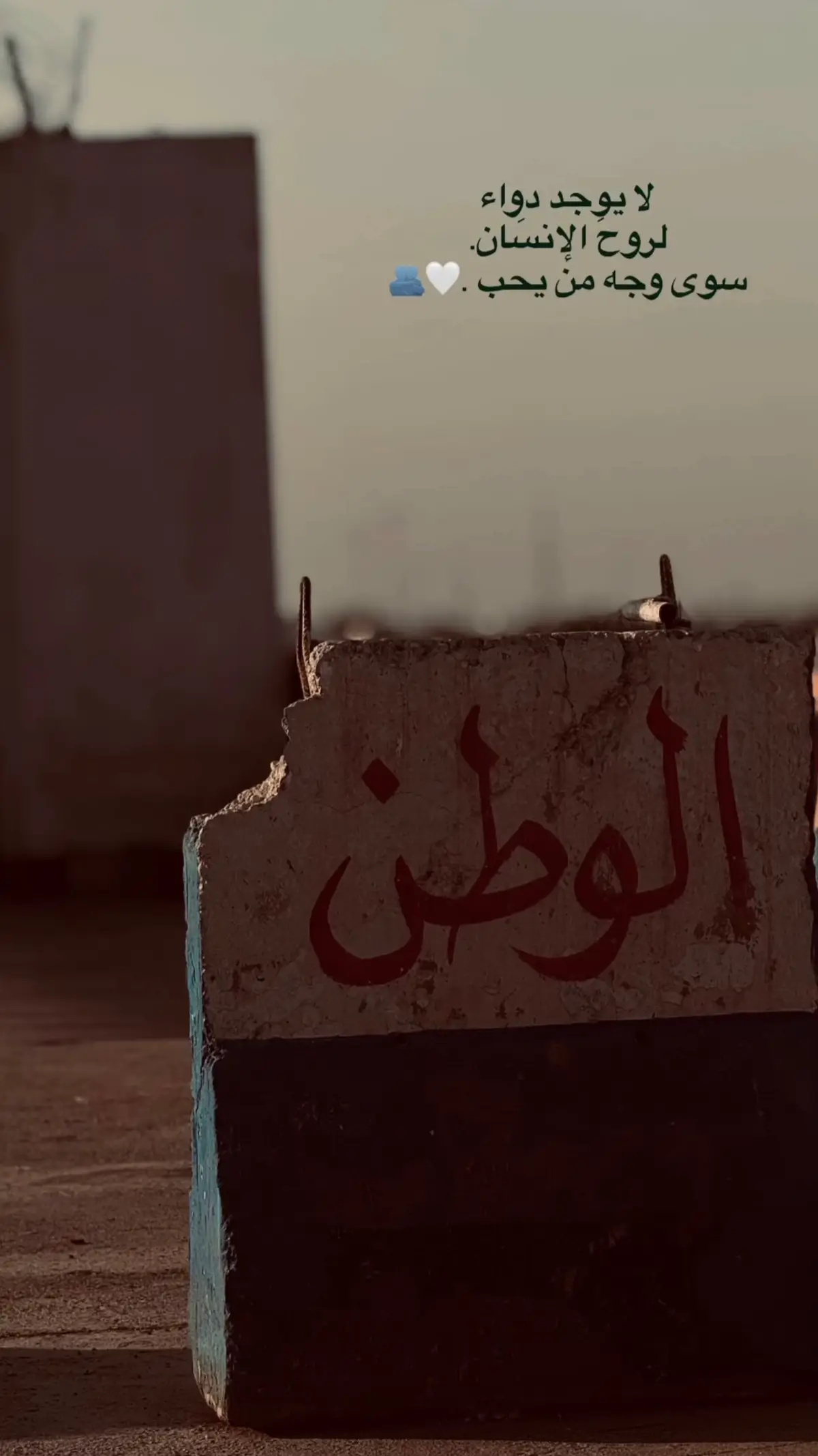 #القوات_الخاصة_العراقية #جهاز_مكافحة_الارهاب_الفرقه_الذهبيه #كليه_الشرطه_العراقيه_مصنع_الابطال #باكستان🇵🇰 #شعب_صيني_ماله_حل😂😂 