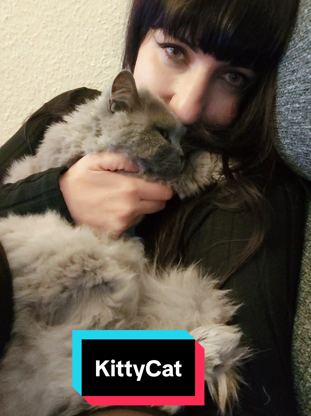 #gothcat #metalhead #metalcore #cattok #metalgirl 
