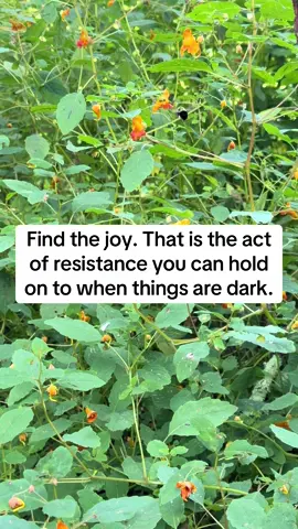 I don’t know what the future holds. But constantly seek out joy. Turn off the TV. Turn off the phone. Watch bees. Feel the breeze. Hug a loved one. Write something. Listen to music that makes your eyes tear up. #findthejoy #forthepeople 