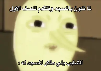 #الشقردية🇸🇦 #اكسبلور #ذبات #ميمز #ضحك😂 