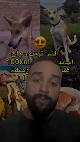 سائحة أمريكية 🇺🇸 تبنت كلبة تبعتها كتر من 100 كيلو ميتر