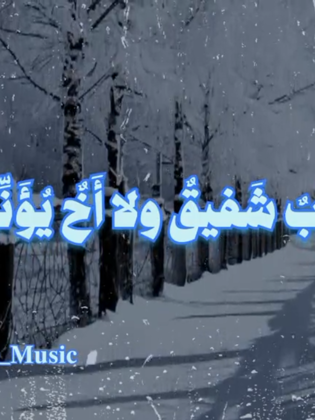 بدون موسيقى ❄️ #اناشيد #بدون_موسيقي #fypシ  #في_ظلمة_القبر_لا_ام_هناك_ولا_اب_شفيق #no_music 