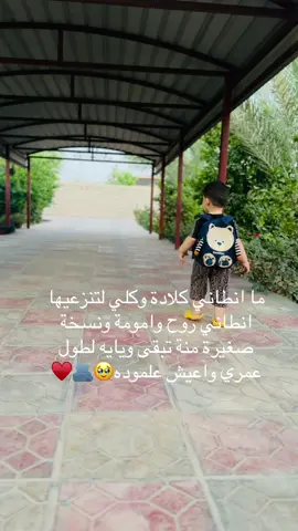 #تصويري🥹♥️ #أياني 🥹♥️🫂