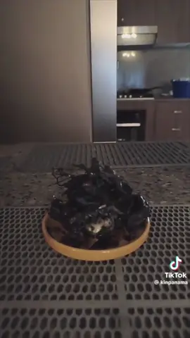 Kin Panama on TikTok just dropped something wild that I honestly don’t even know how to process. Quick correction: I said early September this thing crashed it was actually the very end of August. The growth didn’t start until early September. They’re calling this thing Venom. If real, this needs to be broadcast as heavily as the disclosure topics we’ve been covering for the past 5 years. Sending prayers on this one 🙏 Big thanks to Kin for bringing it forward. #AlienDisclosure #Venom #Anunnaki #AncientAliens #UFOCrash         