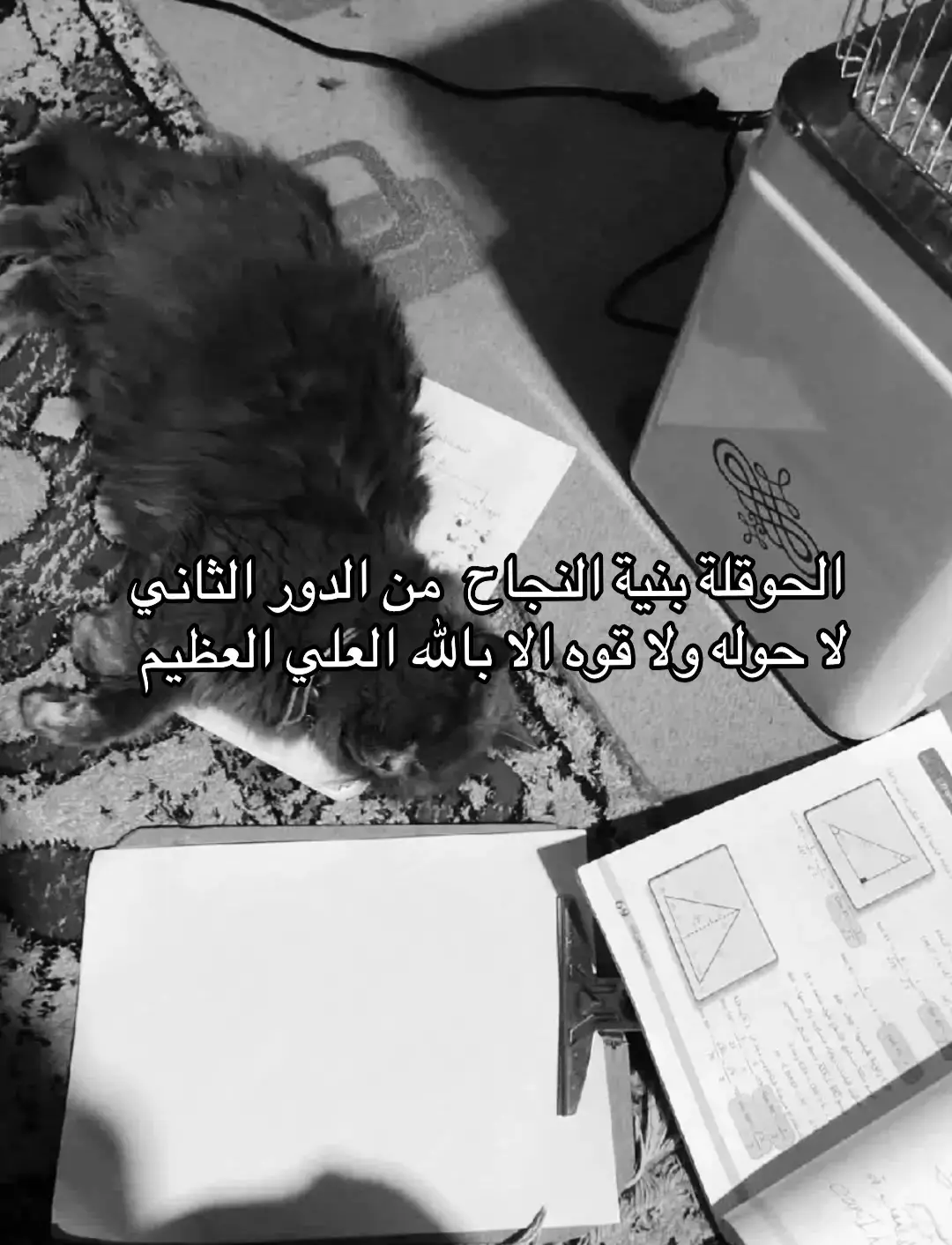 دعواتكم الي🫂. #explore #حوقلة #قران #طلاب #نجاح 
