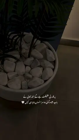 Right 🤍🤌🏻_.|#fyp 