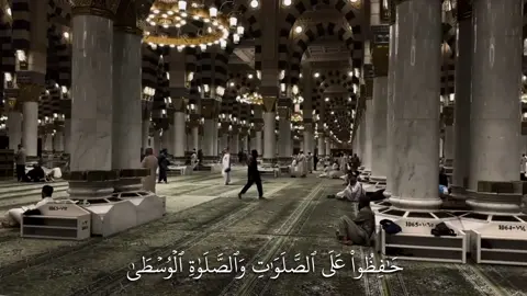 حَٰفِظُواْ عَلَى ٱلصَّلَوَٰتِ وَٱلصَّلَوٰةِ ٱلۡوُسۡطَىٰ #ياسر_الدوسري #quran #islam #islamic_video #تلاوة_خاشعة 