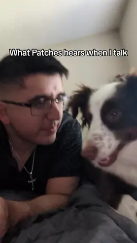 Patches and Paw Paw #dogsoftiktok #foryou #fyp #fnaf #pet