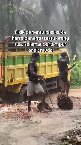 Sengat pemuat sawit #pemuatsawit #fypシ゚ #kulisawit🌴 #lewatberandafyp 