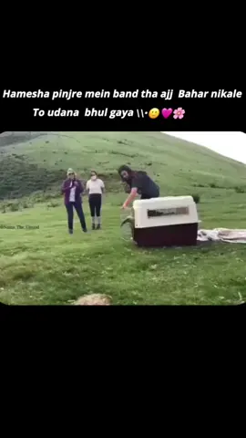 Udana bhul gaya 🙂🩷🌸 #1millionauditon #islam #foryoupage❤️❤️ #islamic_video #1millionauditon #islam #foryoupage❤️❤️ #islamic_video #1millionauditon #islam #foryoupage❤️❤️ #islamic_video #1millionauditon #islam #foryoupage❤️❤️ #islamic_video #1millionauditon #islam #foryoupage❤️❤️ #islamic_video #1millionauditon #islam #foryoupage❤️❤️ #islamic_video #1millionauditon #islam #foryoupage❤️❤️ #islamic_video 
