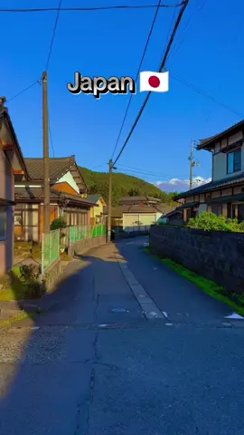 Japan neighbourhood 🇯🇵😍 #viral #japnies #100m #neighbours #japan 