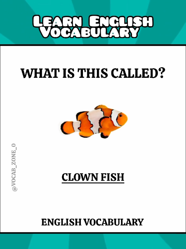 day 6 || English vocabulary words #vocab_zone_0 #vocabulary #foryou #foryoupagе #growmyaccount #unfrezzmyaccount 