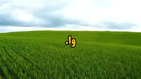 خب وا . . . #fyp #فوریو #explore #viral #foryoupage 