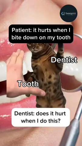 When your dentist tries to figure out which tooth hurts… and your tooth isn’t having it 😹🦷 Regular dental checkups help catch tooth pain early so you stay comfortable! 📍 Tahquitz Dental Group, Palm Springs 1921 E Tahquitz Canyon Way 📞 (760) 325-6480 🌐 palmspringsdentalgroup.com #dentist #dentistry #dentistsoftiktok #dentistryworld #dentistrylife 