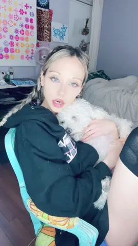 🐺 или 🦊?? 😹😹