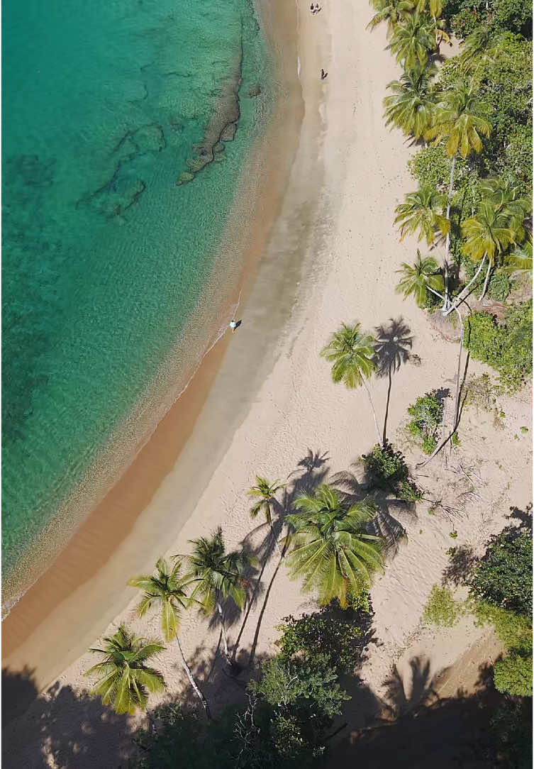 🌴 Welcome to Nature Retreats Tobago, your home away from home 🏡 Nestled in the Royal Palm-dotted hills of Parlatuvier, with 360-degree views, rainforest, and a private waterfall just a short walk from your cabin or villa. Come to reconnect, disconnect, and remember what life is really about...! Just minutes from Parlatuvier’s beautiful beach and fishing village, you have it all - the greens and cool of Tobago’s Main Ridge Reserve and the blues of its stunning seas. 🌊 Let us guide you to local eateries, nearby waterfalls, in-house massages, and more. Don’t wait, get to know Nature Retreats today. Find YOUR retreat; we’re simply here to help guide the way. 🌳 🏡 Our Spaces:  🌞 Xanadu Villa - spacious and romantic, featuring an infinity pool and a deck designed for taking in sweeping views of the forest and sea. 🏖️ Wings Cabin - bright, airy, and breezy, with a hammock on the deck for relaxing, plus a spa-like bathroom for unwinding. 🥥 Shade Cabin - private and cozy with a large deck for lounging in hammocks or dining al fresco, and a rain shower inside that brings the feel of the forest into your daily routine. No matter which space you choose, you’ll leave feeling refreshed, connected, and immersed in the beauty and character of Tobago. Experience the NorthSide. 🔗 Book your stay by clicking the link in our bio. Or message us on 868-290-6207 / natureretreatstobago@gmail.com - Video by: @Nick de Silva  . . . . . . . . . . . #natureretreats #tobagoretreat #parlatuvier #visitTobago #islandescape #rainforestretreat #waterfallretreat #beachandforest #tropicalgetaway #ecotravel #naturelovers #islandlife #hiddenparadise #caribbeantravel #mindfultravel #airbnbtobago #caribbeandestinations #fyp #foryou