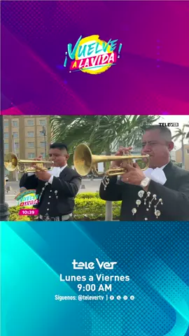 🎺🇲🇽 El mariachi es un símbolo importante de nuestra patria, llevando nuestra música y tradición a cada rincón del país 🎶❤️ ¡Viva México! 🇲🇽✨ #fyp #paratii #telever #veracruz