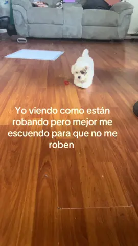 #fypシ 😆