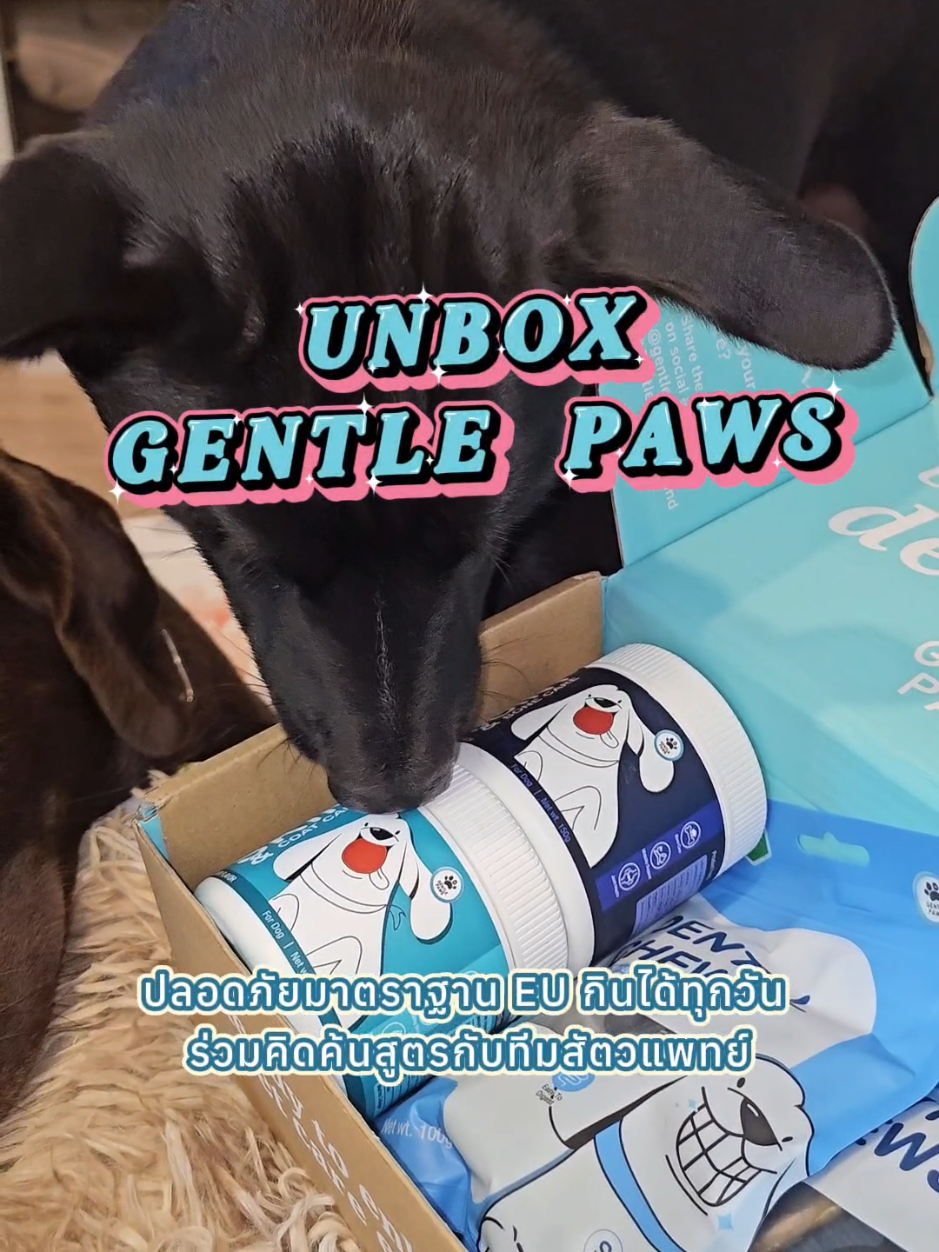 เปิดกล่อง GENTLE PAWS!!! มีอะไรบ้าง 🦷Dental Chews (เดนทัล ชิลล์)   ขนมขัดฟันรูปทรงแปรงสีฟันเจ้าเเรกในไทยแปรงฟันที่มียาสีฟันในตัว ซึ่งยาสีฟันคือเทคโนโลยีเอนไซม์ G.E.T เอกสิทธิ์เฉพาะของเรา ทำหน้าที่คล้ายๆยาสีฟันของคน  เวลาที่น้องหมาเคี้ยวจะละลายเเละไปเคลือบฟันให้เเข็งแรง พร้อมสลายเศษอาหารที่ติดตามซอกฟันด้วยเอนไซม์ตัวนี้ ช่วยลดกลิ่นปาก ให้ปากหายเหม็น ช่วยลดคราบพลัค คราบหินปูน  ปัญหาช่องปากต่างๆในระยะยาว 🐕SKIN &COAT CARE ขนมบำรุงขนและผิวหนัง แก้ปัญหาน้องหมาขนขาดหลุดร่วง ขนไม่เงางาม หรือมีปัญหาผิวหนัง อยากบำรุงผิวหนังให้แข็งแรงจากภายในสู่ภายนอก พร้อมเผยขนสวย เงางามที่น้องหมาต้องเลิฟ  🦴 JOINT&BONE CARE ขนมบำรุงกระดูกและข้อ ช่วยเพิ่มน้ำไขข้อกระดูก ทำให้ข้อไม่ติด เดินได้ดีขึ้น  ลดการอักเสบของกระดูกเเละข้อ แก้ปัญหาน้องหมาไม่ค่อยอยากลุก วิ่ง หรือ เดิน  ช่วยป้องกันโรคกระดูกและข้อต่างๆในอนาคต 💚ปลอดภัยมาตราฐาน EU กินได้ทุกวัน ร่วมคิดค้นสูตรกับสัตวแพทย์  #gentlepaws #ขนมขัดฟันสุนัข #แปรงสีฟันสุนัขพร้อมยาสีฟัน #ขนมสุขภาพสุนัข @gentlepaws.th 