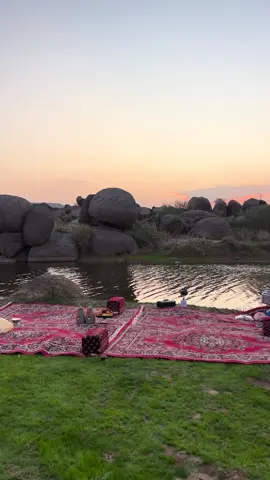 #نجران 