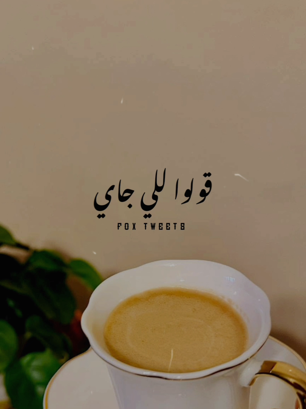 ميموتش أملي وأنا حي 🤍! #الكينج  #fpy #fpyシ #foryou #محمد_منير 