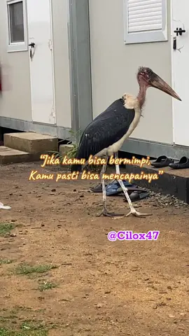 #tetapsemangat💪💪 #fyppppppppppppppppppppppp