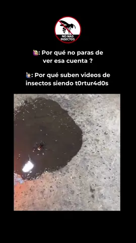 Adiós Spiderman 💀  #viral #fyp #humor #parati #araña 