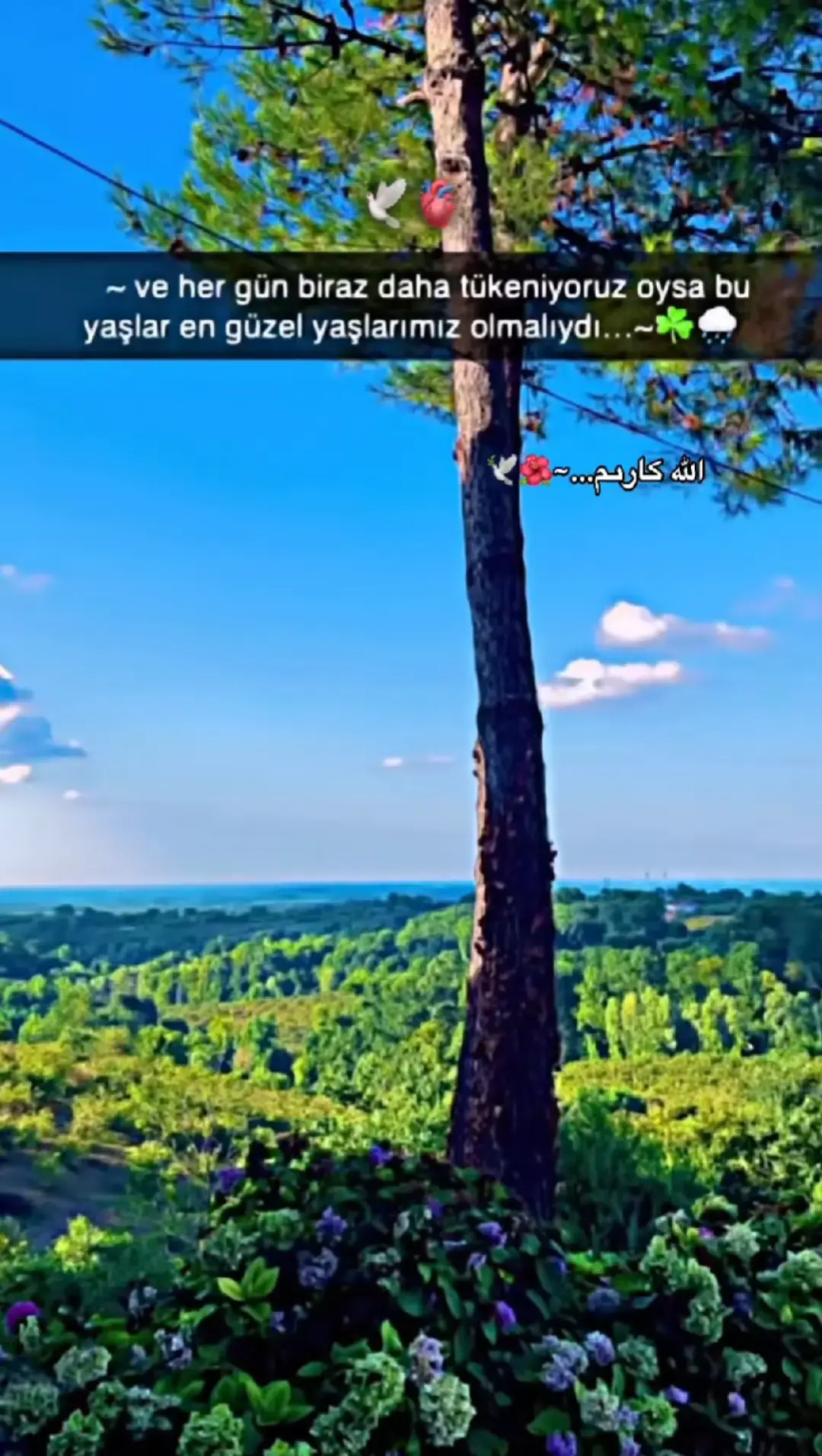 #şarkınıngüzeliyi🤌🏾🎧 #şarkınıngüzeliyi #günbatımı #keşfetedüş #şarkı 