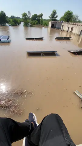 #foryoupage #flood 