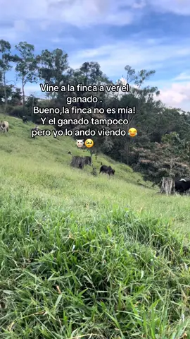 #ganado #❤️‍ 