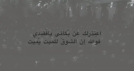 يبنيتي الحنينه💔.#باسم_الكربلائي #fyp #العتبة_الحسينية_المقدسة #العتبة_العباسية_المقدسة #لايك 