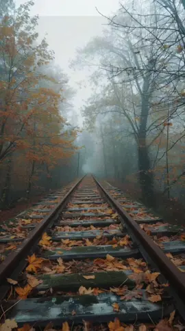 the 1 by Taylor Swift #taylorswift #swiftie #folklore #fyp #midjourney  
