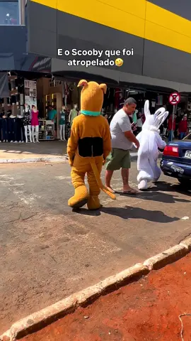 Scooby dançou bonito 🤣 #scoobydoo #salsicha #dogsoftiktok 
