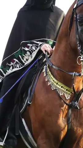 ماشاءالله تبارك الله💚💚 #اليوم_الوطني #خيل_وخياله🐎 #ماشاءالله #مربط_كتارا #سلمان_N 