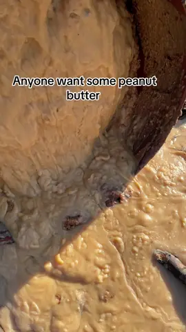 Hml I got the peanut butter for the low #viral 