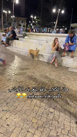 😂😂 الكلاب كيضبرو على راسهم و حنا لا  #المغرب🇲🇦 #المغرب🇲🇦تونس🇹🇳الجزائر🇩🇿 #tanger #rabat #maroc 