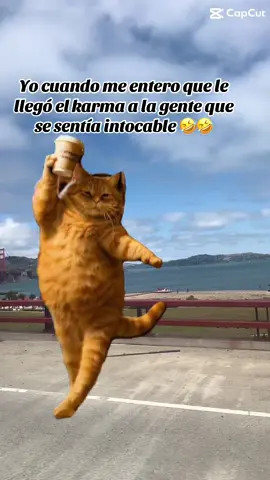 🤣🤣🤣🤣🤣usted aga todo el mal que pueda por que el karma será mucho peor 🤣🤣