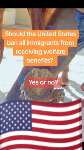 #immigrationlawyer #immigrantparents #immigrant #breakingnews #usa🇺🇸 