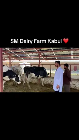 #پشتون_تاجیک_هزاره_ازبک_زنده_باد🇦🇫 #افغانستان #smfarm #videoviral #اكسبلور 