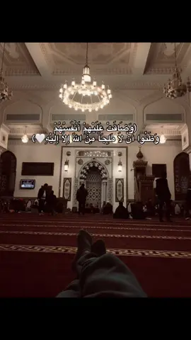وضاقت عليهم انفسم وظنوا ان لا ملجأ الا الله🤍 #الشيخ_المنشاوي #قرآن #قرآن_كريم #سورة_التوبه #muslim 