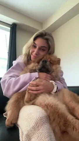 mommy #WWE #fyp #dogsoftiktok #chowchow 