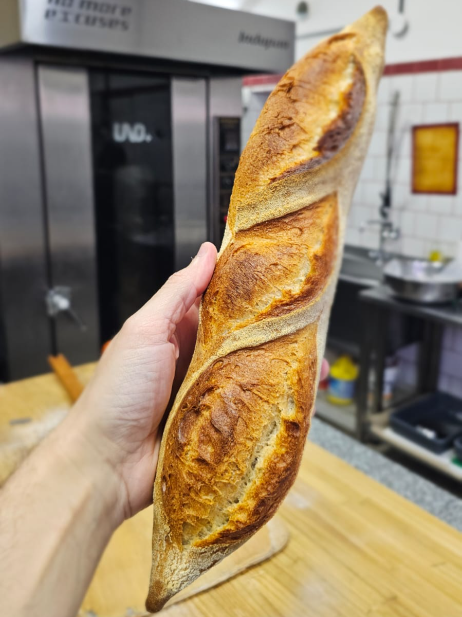 ASI SUENA UN PAN DE VERDAD #PAN #BAGUETTE #DEMIBAGUETTE  Esta media baguette la hicimos en una capacitación presencial en mi panadería.  Les dejo la receta y el procedimiento:   Poolish:  Harina 000 o de fuerza media 500 g Agua 500 g Levadura fresca 10 g   Masa:  Harina floja o 0000 500 g  Agua 250 (usar 50 más al final para corregir hidratación si lo ves necesario?  Sal 25 g   Para el poolish mesclar todo y esperar que duplique, puede ser de un día al otro en heladera, o unas horas a temperatura ambiente. Poner en la amasadora en velocidad 1, el poolish con la harina restante, incorporar, agregar el agua de a poco, incorporar la sal y subir a velocidad 2 hasta desarrollar el gluten.  Fermentar en bloque un 25%. Cortar de 425 gramos (en 4 bollos) y preformar, dejar relajar 15 min y ovillar, estirar y colocar en tela con semolín.   Fermentar un 25%. Cocinar en horno de piso a 240° con muuuucho vapor. Durante 8 min. Bajar a 220° y cocinar por 8 min más hasta dorar.  Respondo preguntas lógicas en los comentarios.   Para ver mis cursos online visitar: MARCOSDICESARE.COM