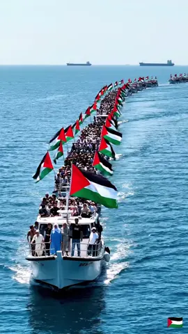 Support Global Sumud Flotilla free Palestine #freepalestine #globalsumudflotilla #support #help #palestine