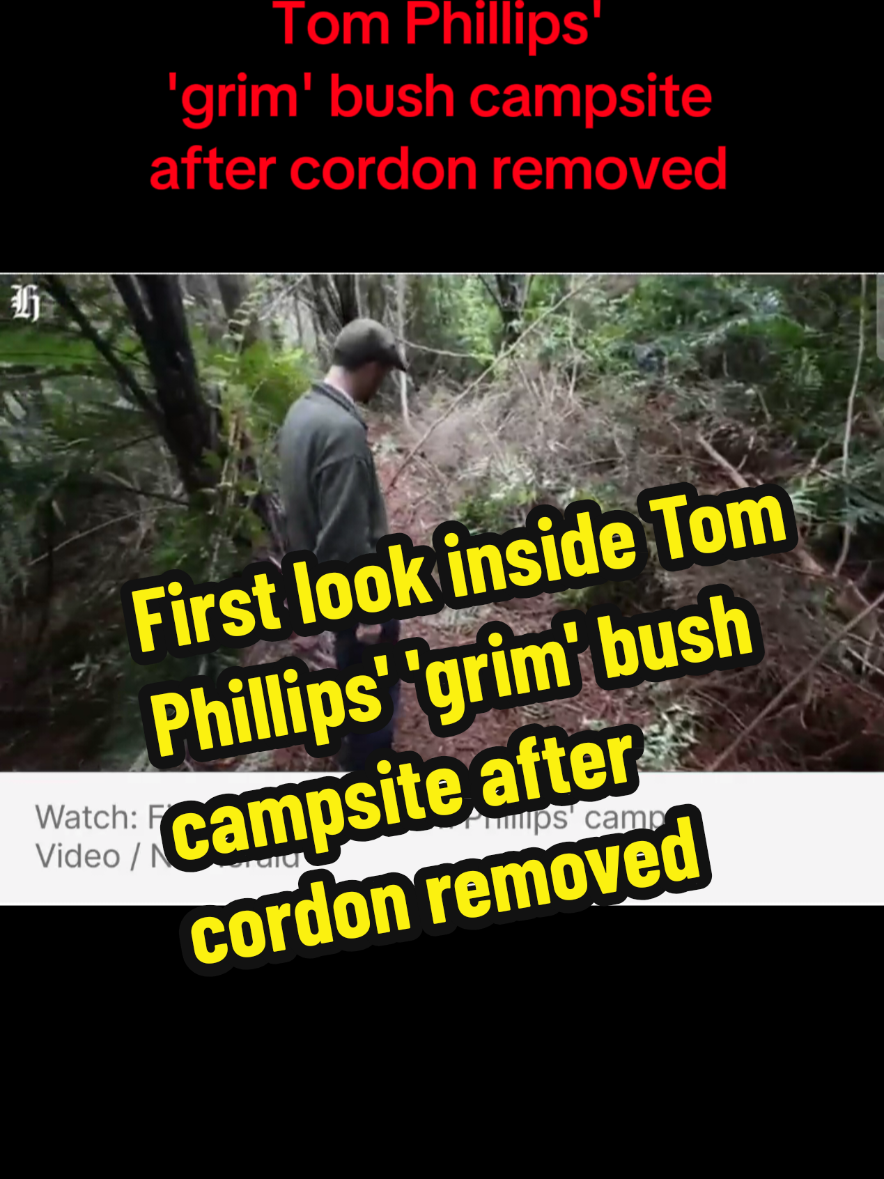 First look inside Tom Phillips' 'grim' bush campsite after cordon removed #tomphillips #nz #news #fyp #tomphillipscampsite 