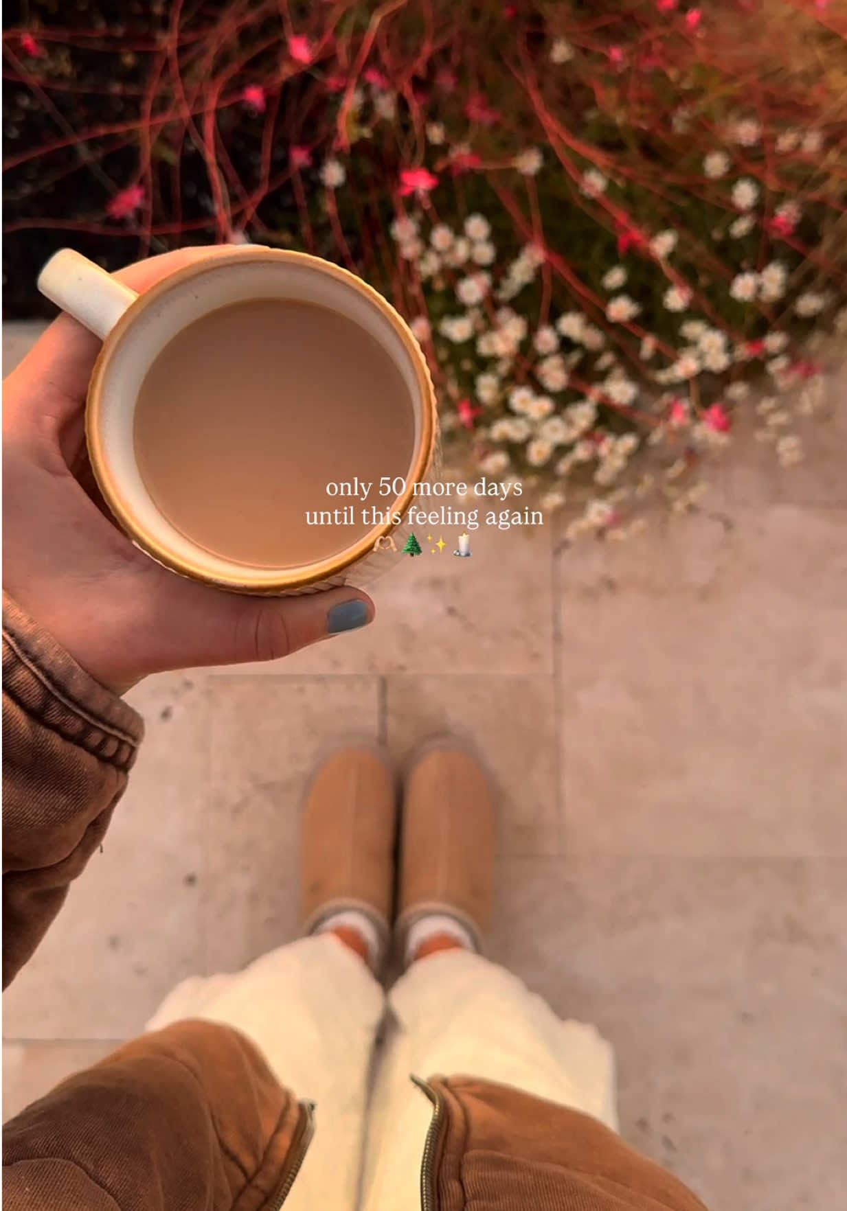 Only 50 days until November 1st ✨ the start of cozy season, Christmas nostalgia, and all the holiday feels 🎄 #November1st #ChristmasCountdown #HolidaySeason #CozyVibes #homefortheholidays 