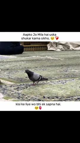 Shukar Alhamduallah 🫶🏻❤️‍🩹 #foryoupage #mir_albaloushi05 #followmorevideo❤️❤️ #fypシ゚viral🖤tiktok #growmyaccount 