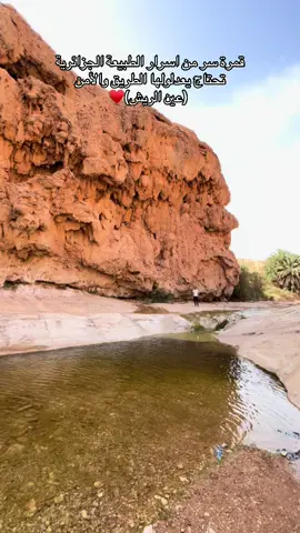 #عين الريش#