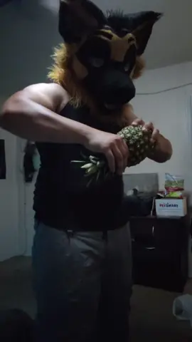 #gym #furry #pineapples 