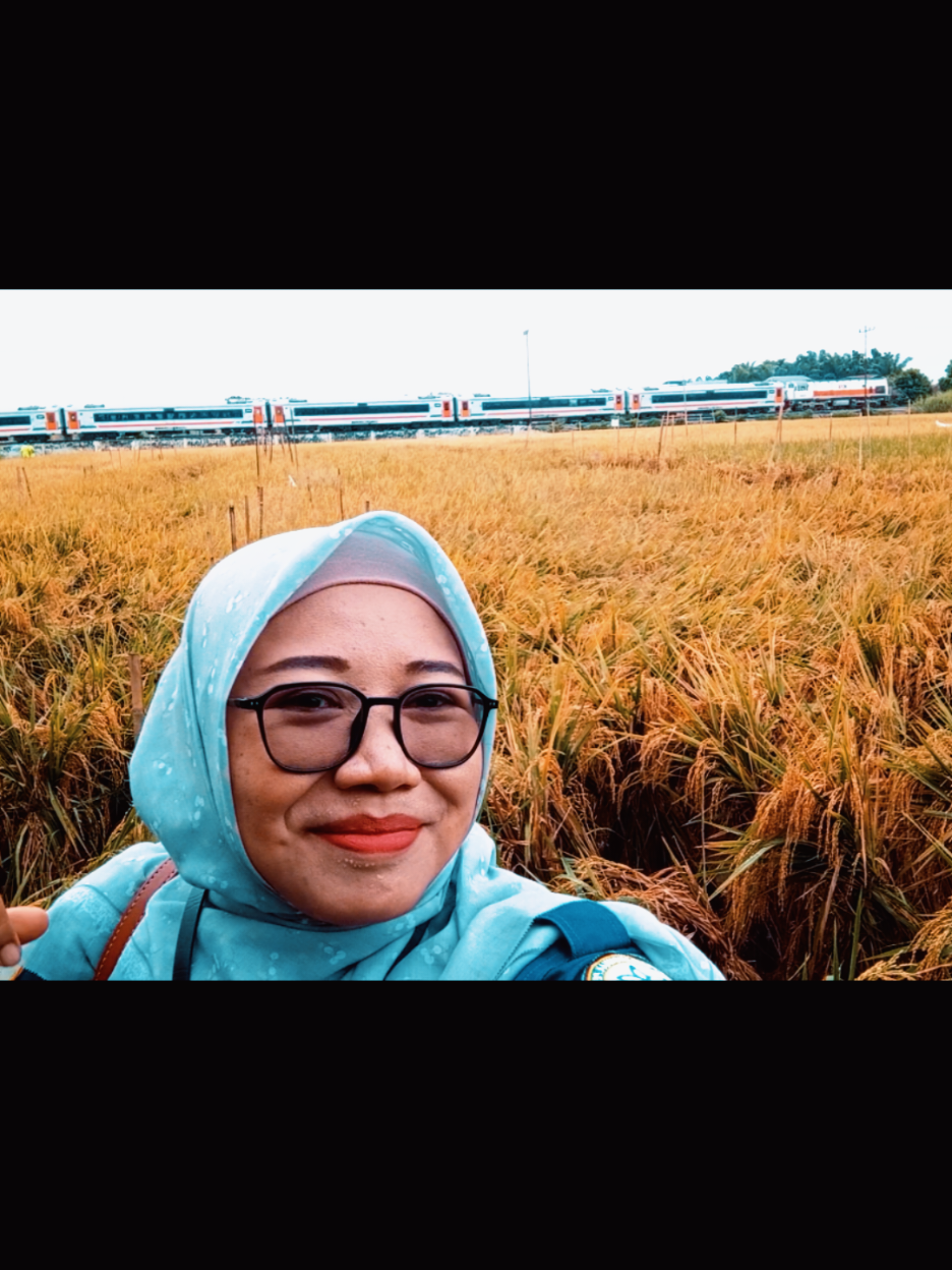 View sawah paling estetik di Kampus Polbangtan Medan... #sawahijaupolbangtanmedan #teachingfarm #bppsdmp #kementerianpertanian #swasembadapangan @POLBANGTAN MEDAN OFFICIAL 